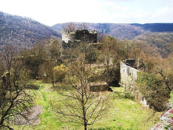 Garden Apartments Znojmo Kültér fotó